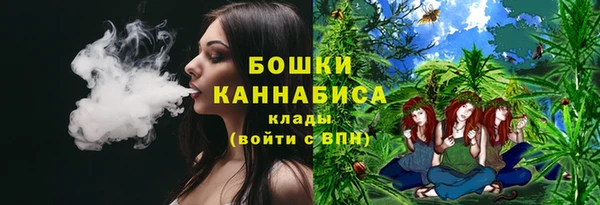 Альфа ПВП Аркадак