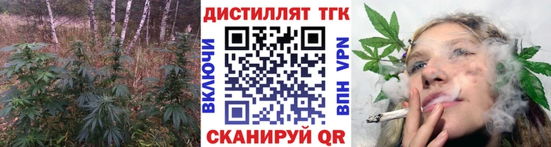 Купить закладки  Сусуман  ТГК THC oil 