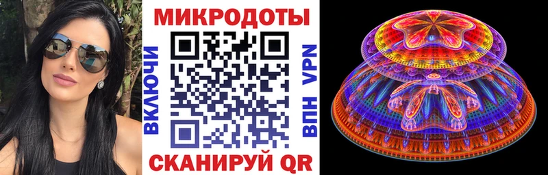 Купить  Сусуман  Псилоцибиновые грибы мицелий 